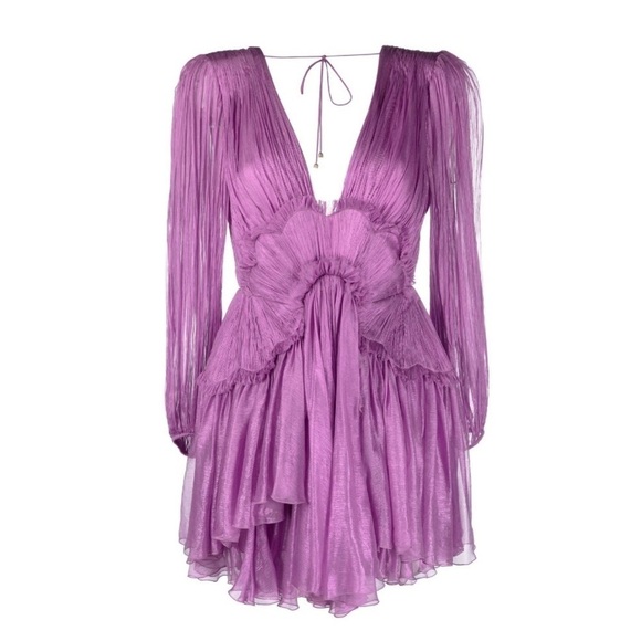 NWT Maria Lucia Hohan Alara Ruffled Minidress - Picture 2 of 16